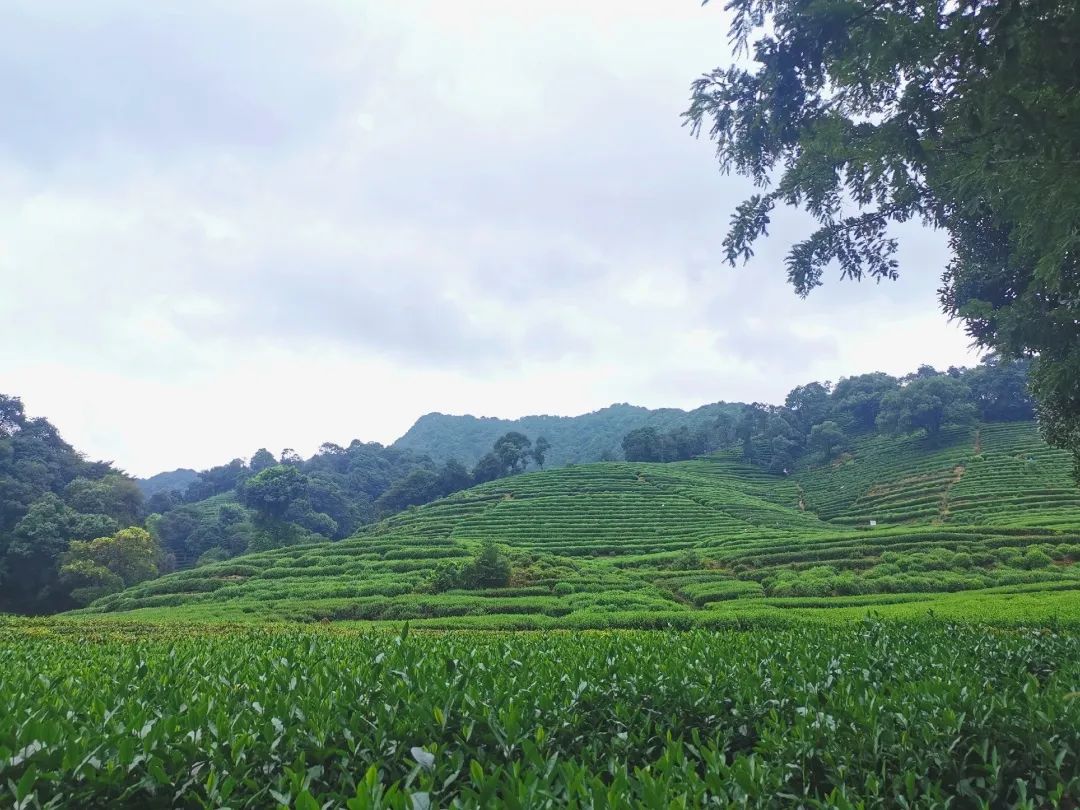 1652931340557012.jpg 2.jpg